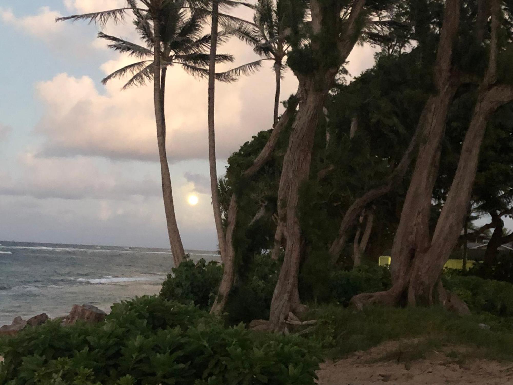 Tropical Treasure On A White Sandy Beach Villa Laie Exteriör bild